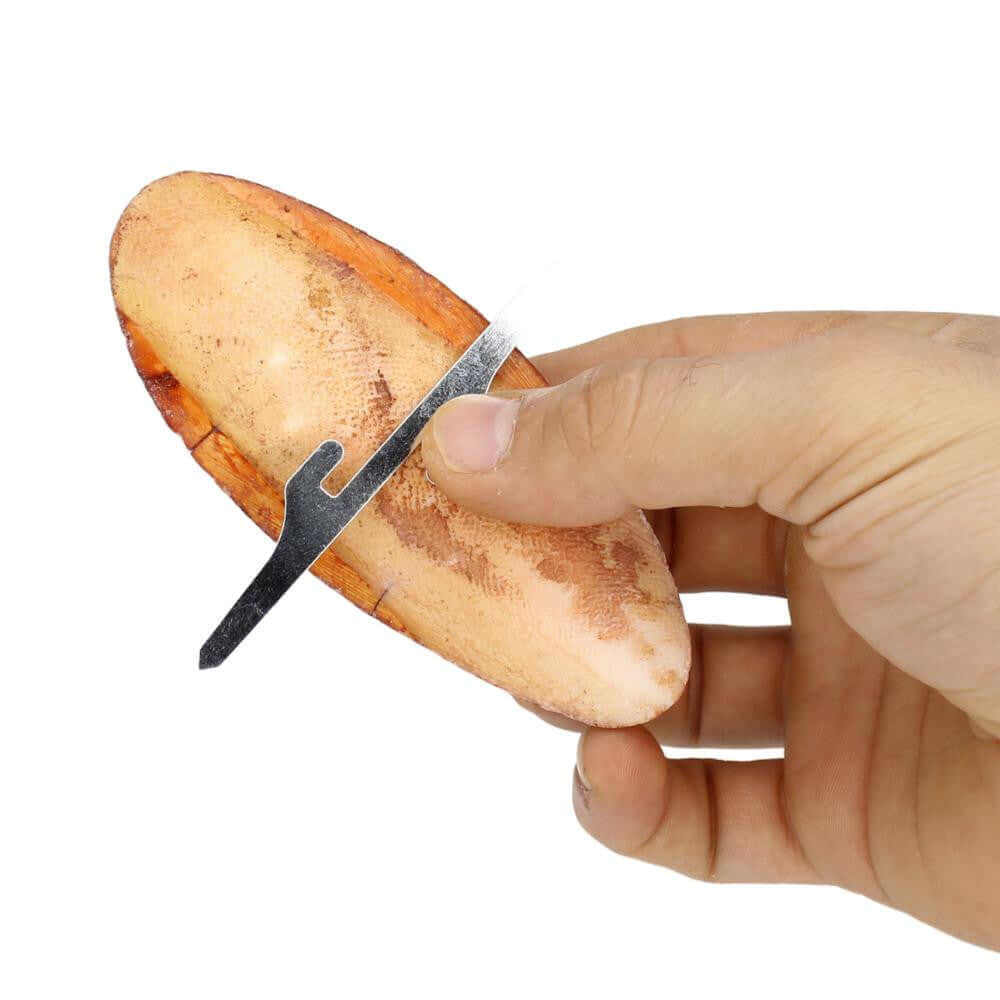 30003 Medium Cuttlebone Peanut Flavor - Bonka Bird Toys