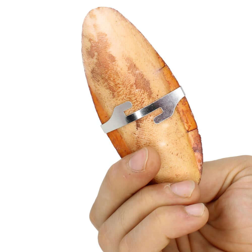 30003 Medium Cuttlebone Peanut Flavor - Bonka Bird Toys