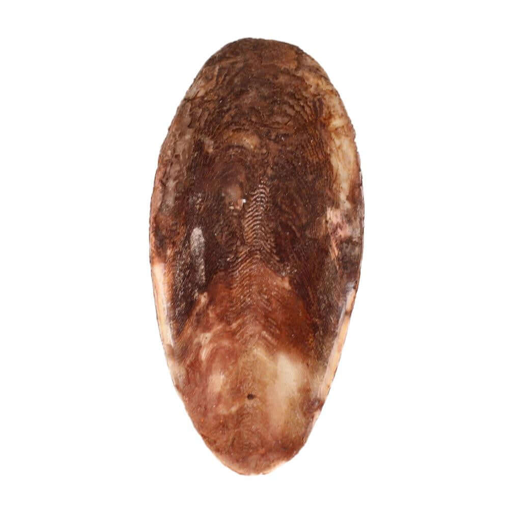 30003 Medium Cuttlebone Peanut Flavor - Bonka Bird Toys