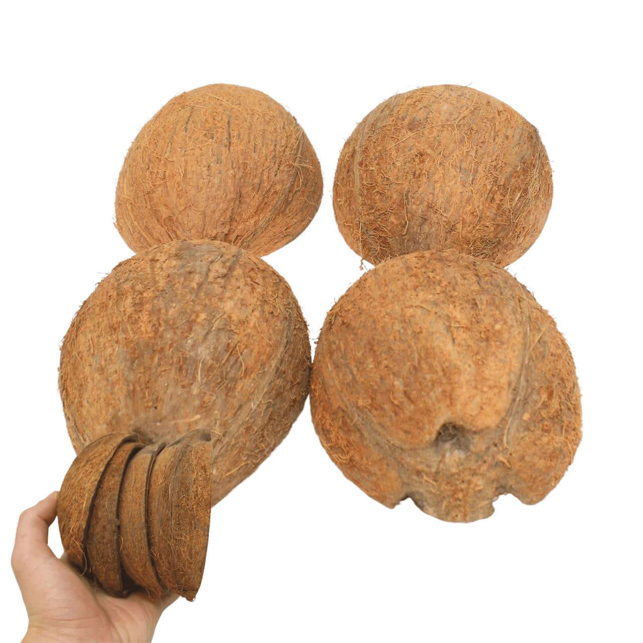 3275 Pk4 Half Shell Coconuts with Fiber - Bonka Bird Toys