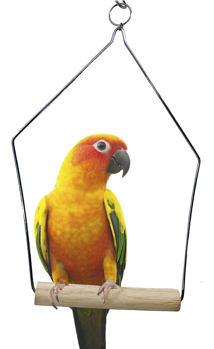 3289 Medium Wooden Perch Swing ON SALE! - Bonka Bird Toys
