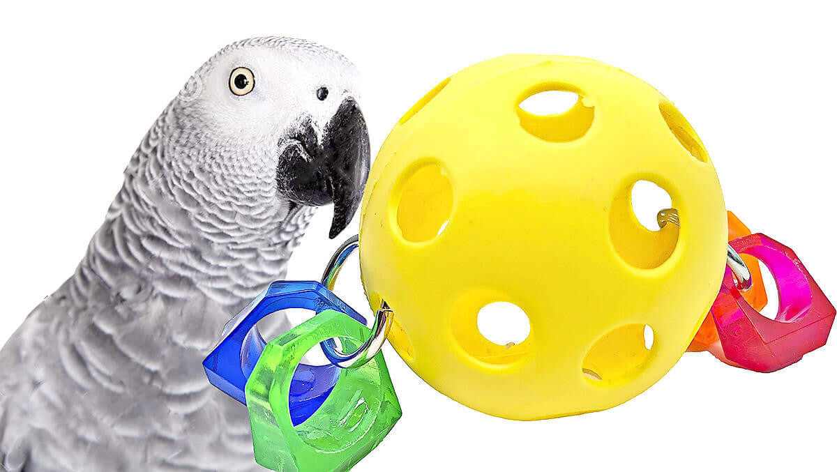 3316 Ring Ball - Bonka Bird Toys