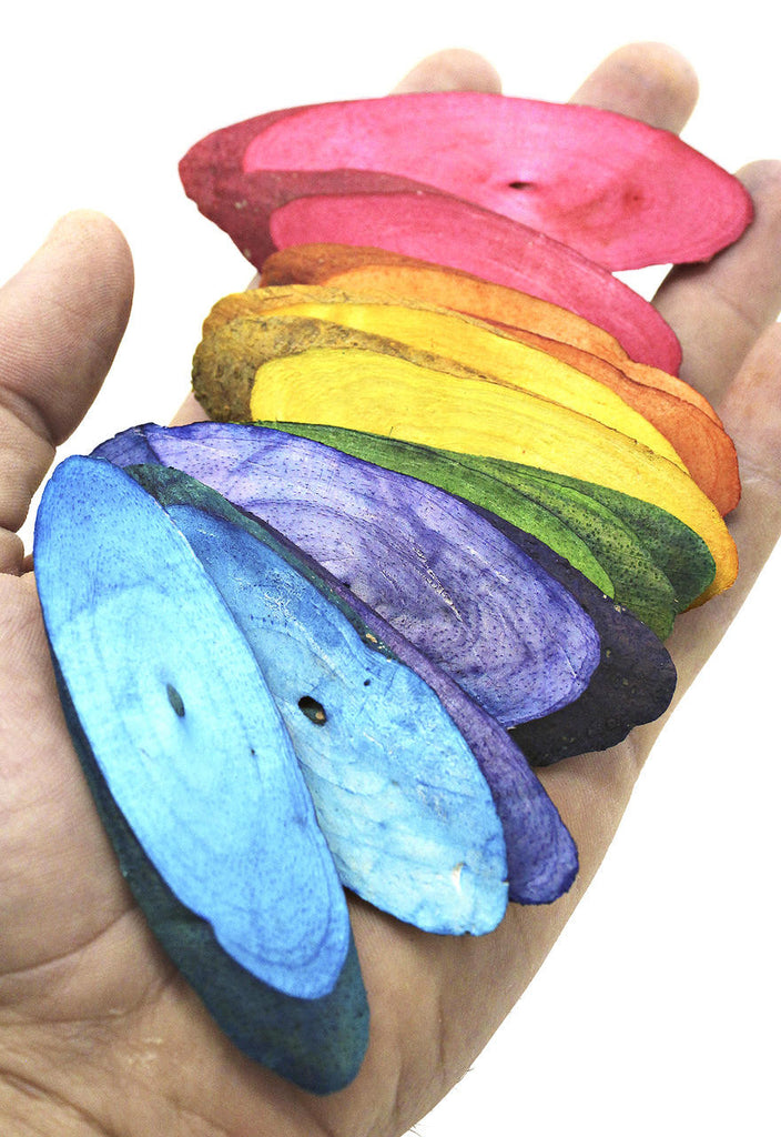 3402 Pk12 Rainbow Sola Slices - Bonka Bird Toys