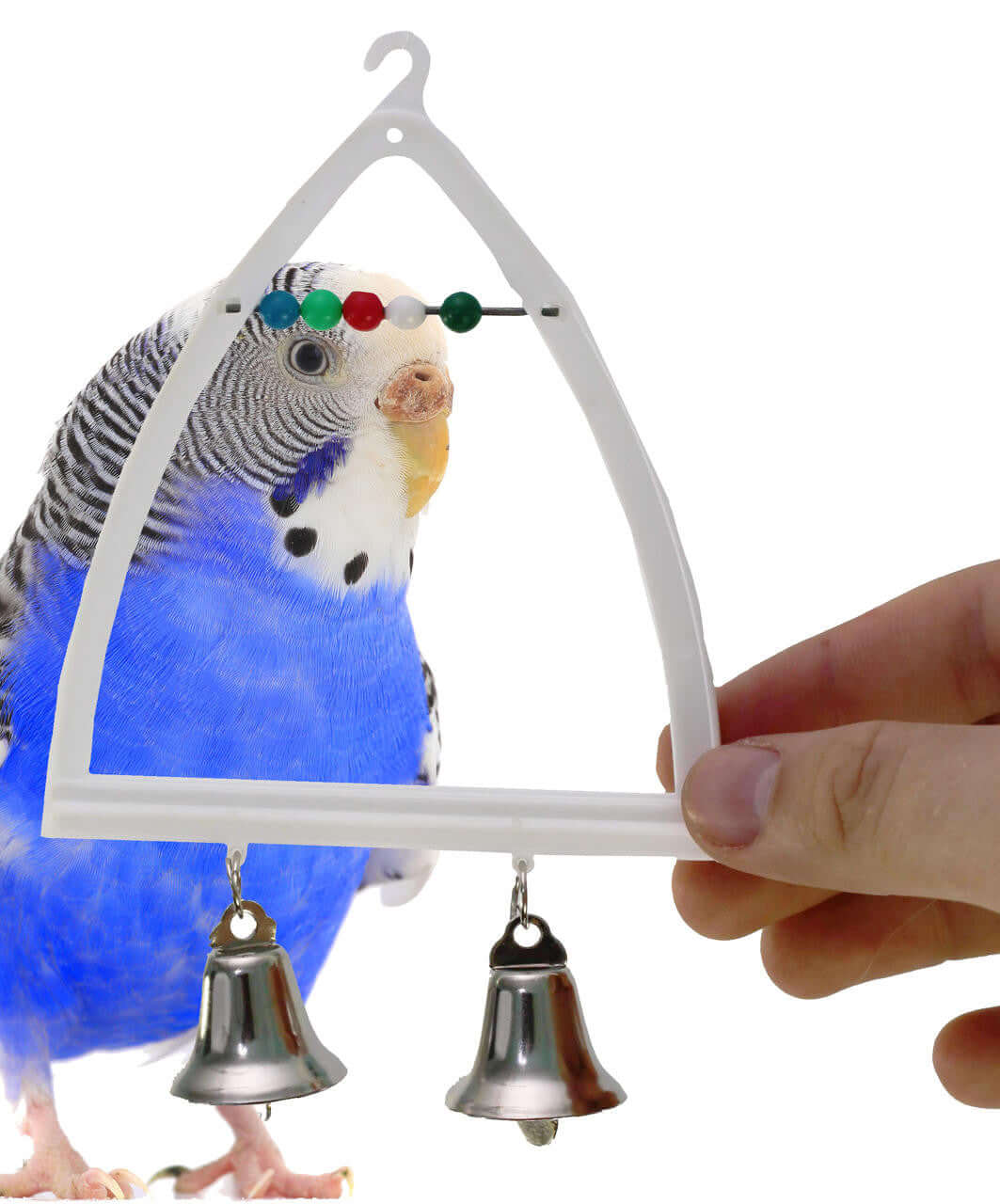 36505 Count Swing BOGO BUNDLE BUY ONE GET ONE FREE! - Bonka Bird Toys