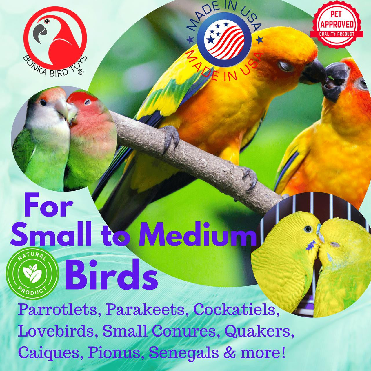 3858 Duo Natural Boxy Eddy - Bonka Bird Toys