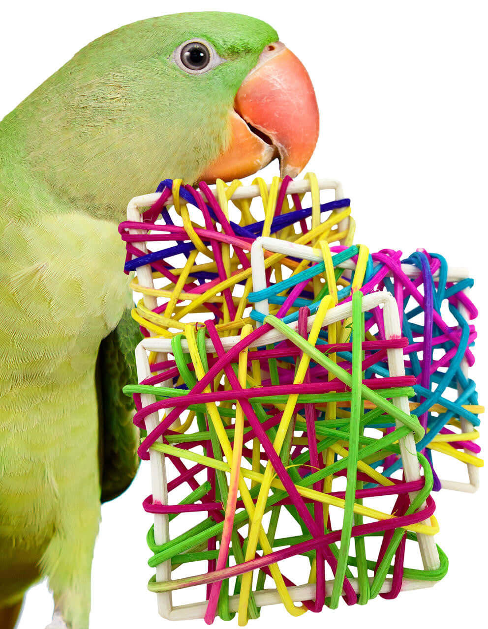 Natural Vine Squares - Bonka Bird Toys