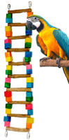 huge bar 10 ladder for birds with colorful wooden blocks and a parrot nearby.