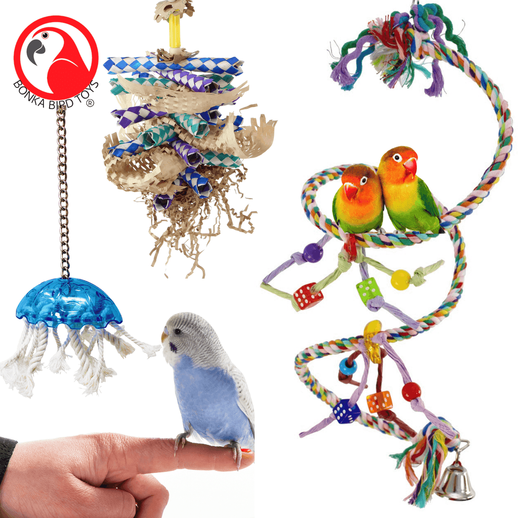 What are The best toys for your small bird?