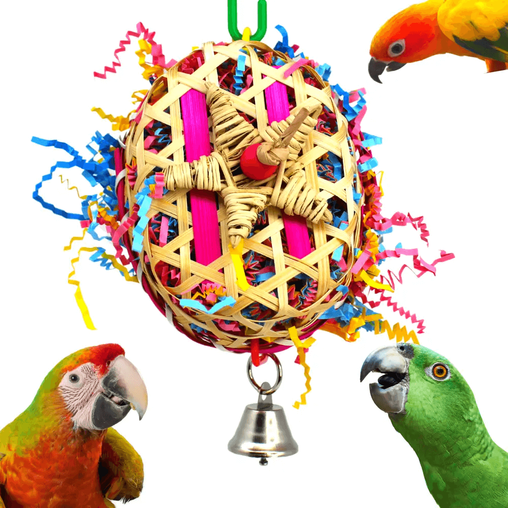 There's a New Parrot In Our House! bonka bird toys