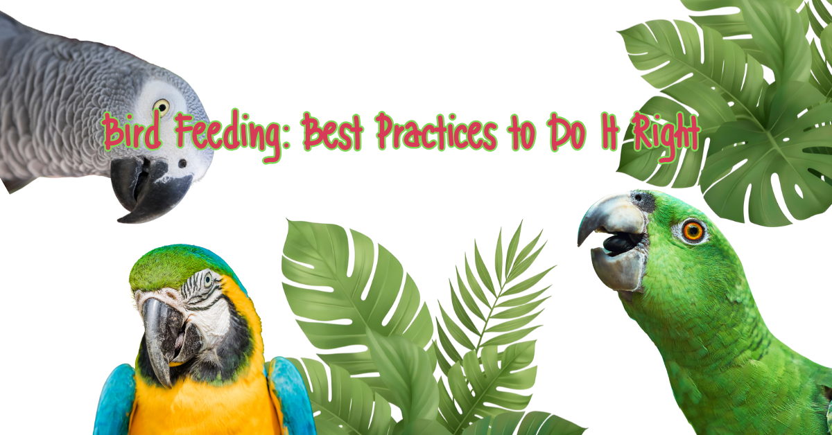 The Rising Trend of Backyard Bird Feeding featuring colorful parrots and tropical leaves.