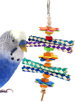 A colorful foraging toy for small birds next to a blue budgie, ideal for enriching their playtime.