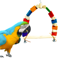 A colorful macaw near a vibrant bird perch showcasing the best bird perches for pet birds.