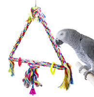 What is the best selling Parrot Swing from bonka bird toys featuring a colorful triangle rope design with a parrot.