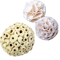 Sola bird toy review featuring three textured Sola bird toys from Bonka Bird Toys for bird enrichment.