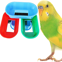 Colorful small bird baths from Bonka Bird Toys next to a vibrant yellow-green budgie.