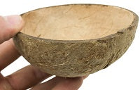 What Is a Good Coconut Bowl for Birds?