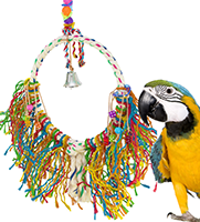 What’s the best selling large bird toy for preening with colorful strands and a parrot nearby.