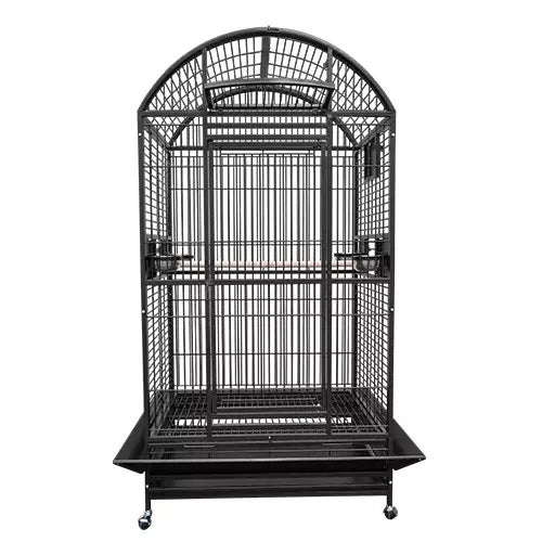 Eclectus Parrot Be Happy in the Kings Cages 9003628 Cage?