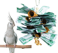 A playful small interactive bird toy made with paper rolls and colorful accents, next to a parakeet perched on a branch.