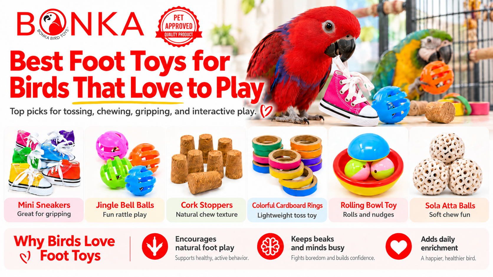 Red Eclectus Parrot Foot Toy Showcase