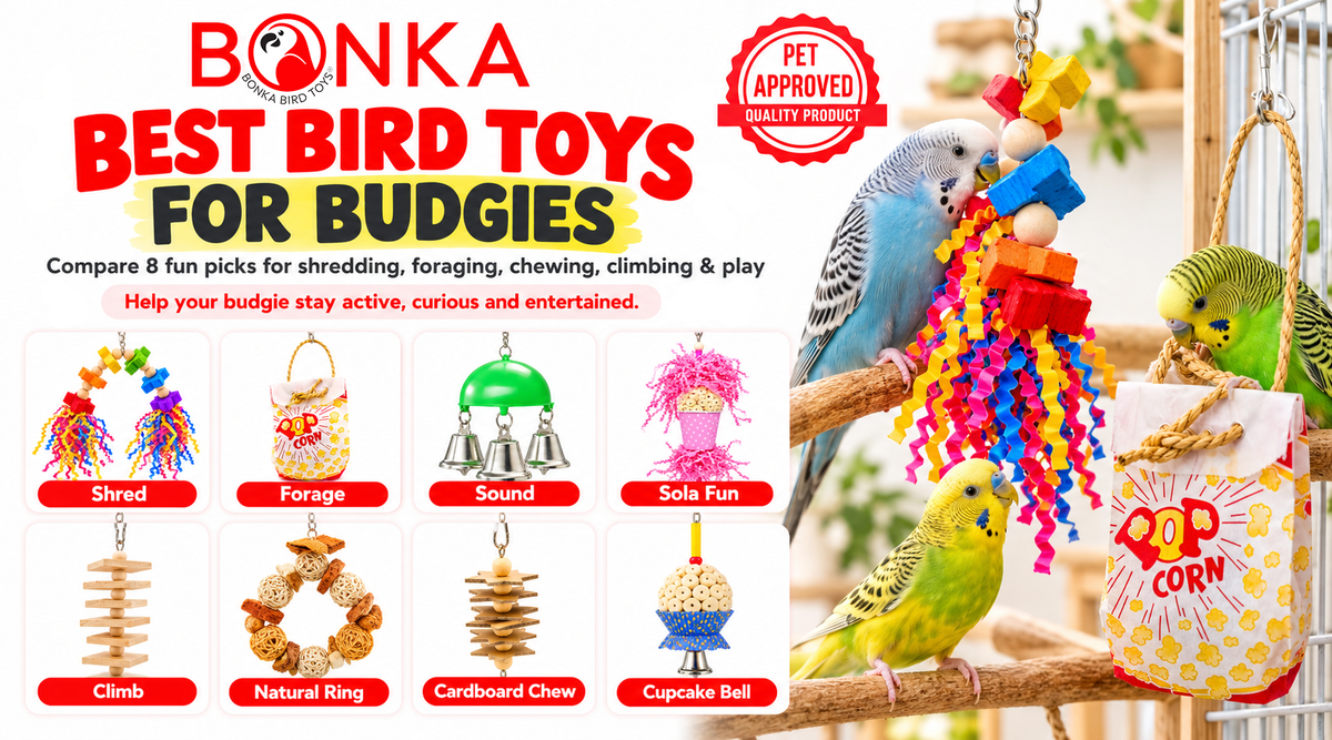 Best Bird Toys for Budgies