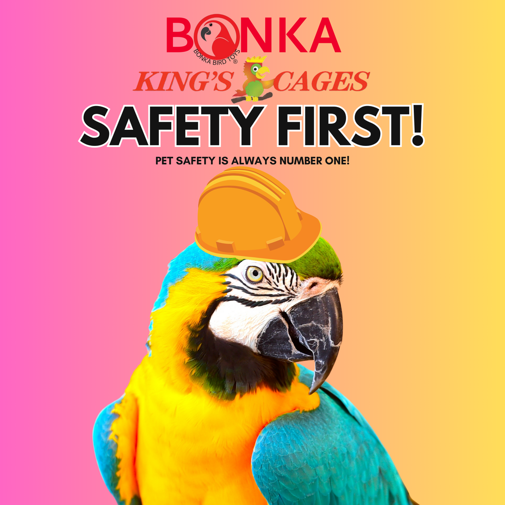 Selecting a Safe Bird Toy: A Comprehensive Guide by Bonka Bird Toys