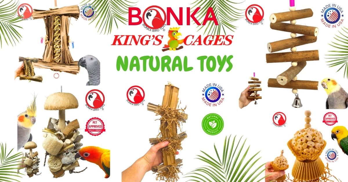Bonka Bird Toys Natural Eco-Friendly Bird Toys for your pet, showcasing engaging designs and safe materials.