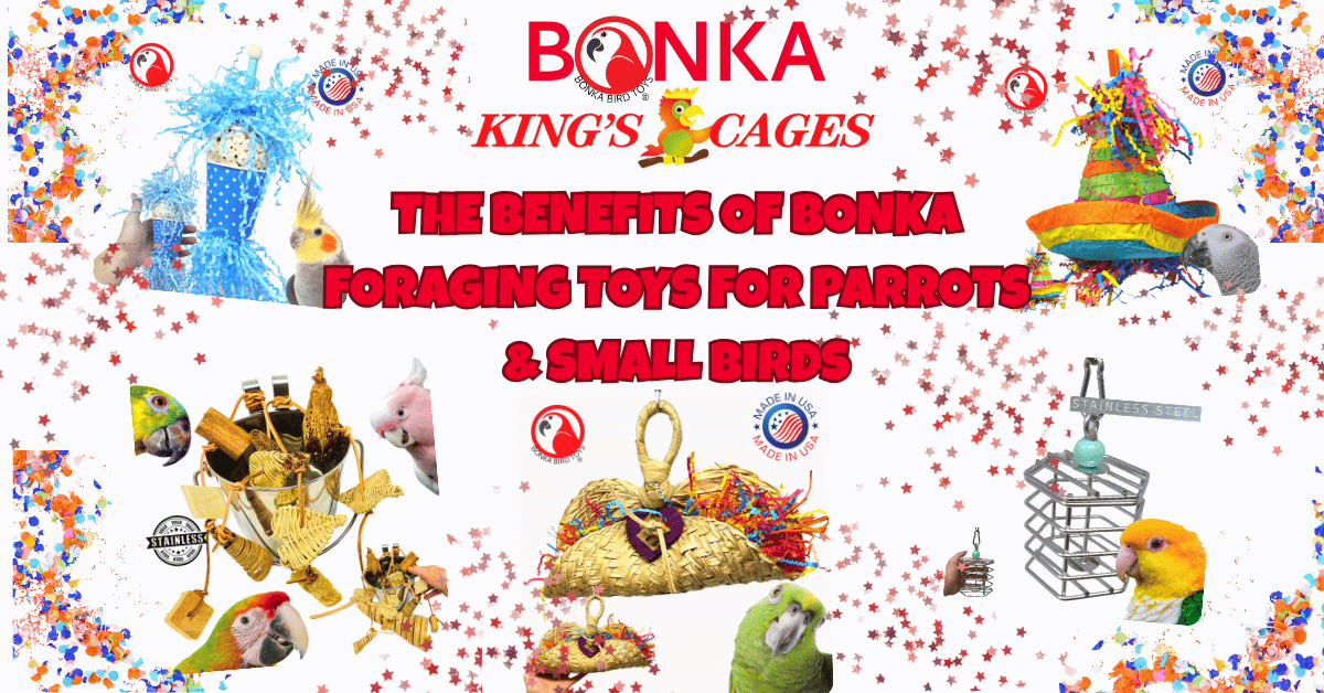 The Benefits of Bonka Foraging Toys for Parrots & Small Birds showcased with colorful toys and playful birds.
