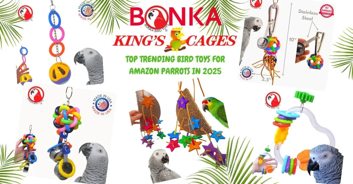 Top Trending Bird Toys for Amazon Parrots in 2025