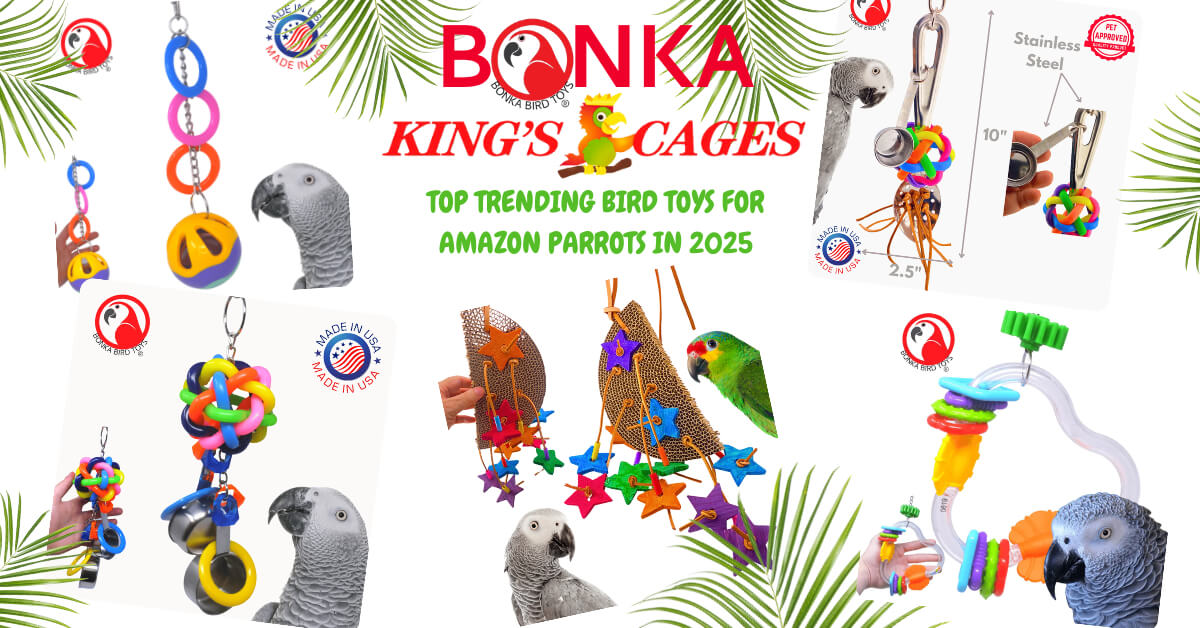 Top Trending Bird Toys for Amazon Parrots in 2025