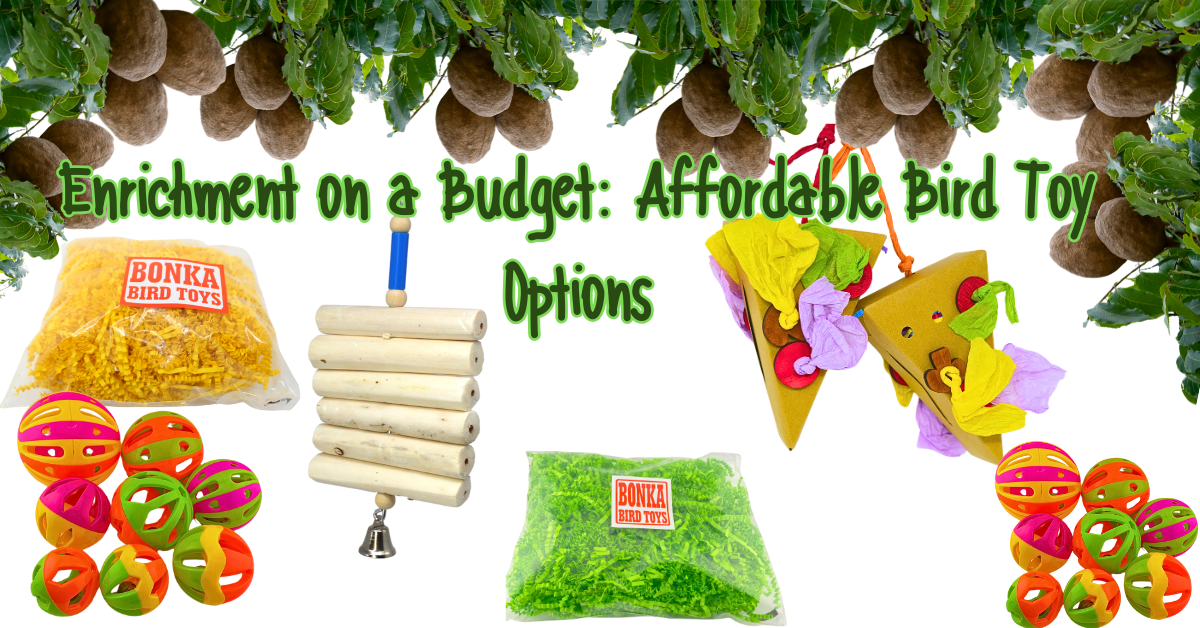 Enrichment on a Budget: Affordable Bird Toy Options with colorful toys for birds.
