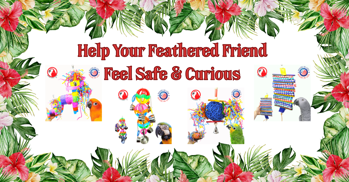 How to Introduce New Toys to a Shy or Nervous Bird with colorful toys around a friendly bird.