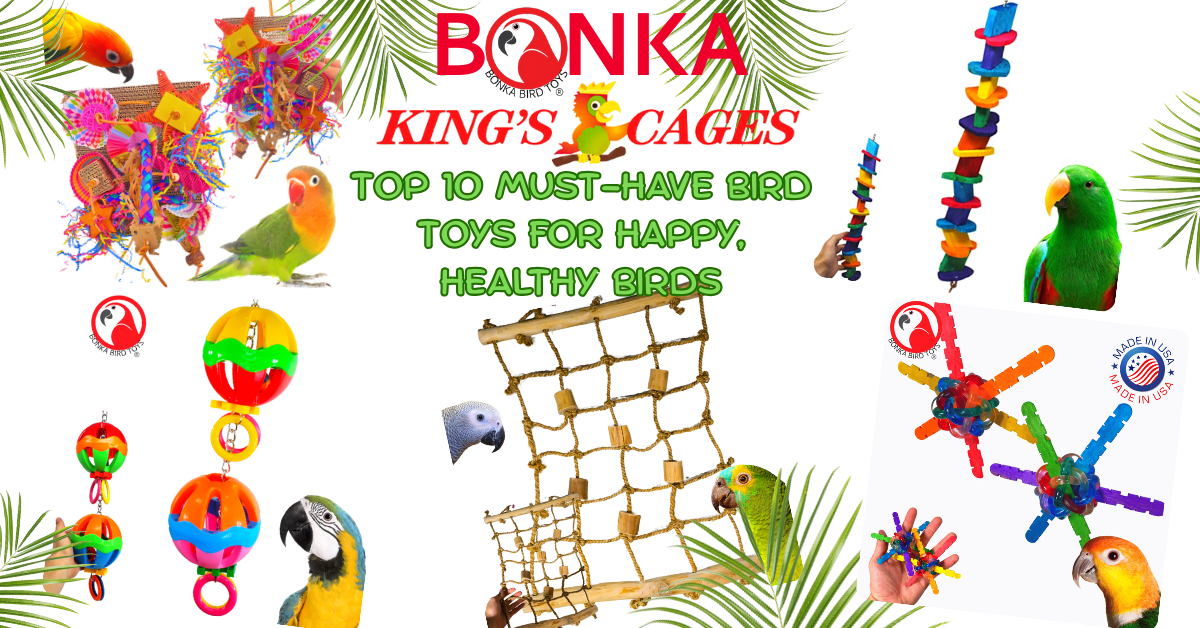 Colorful collection of must-have bird toys for happy, healthy birds from Bonka King's Cages.