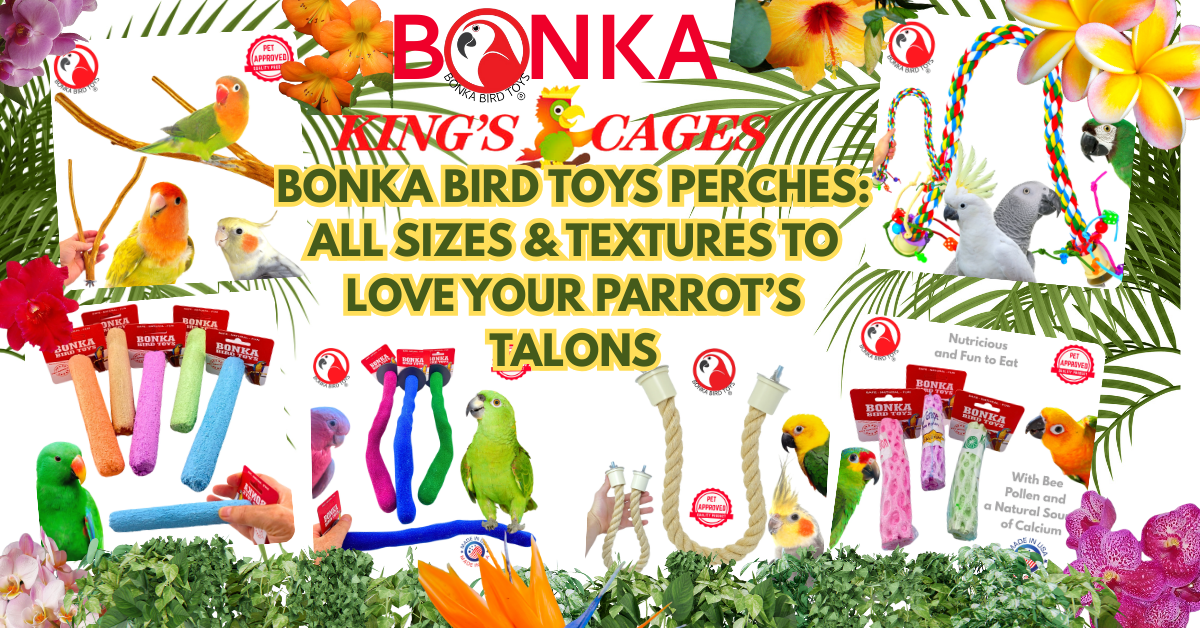 Colorful display of parrot perches for healthy talons, showcasing various sizes and textures for bird care.