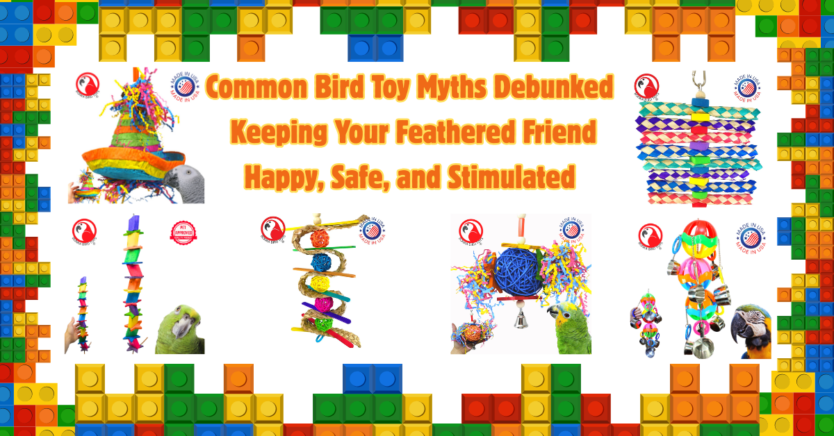 Common Bird Toy Myths Debunked