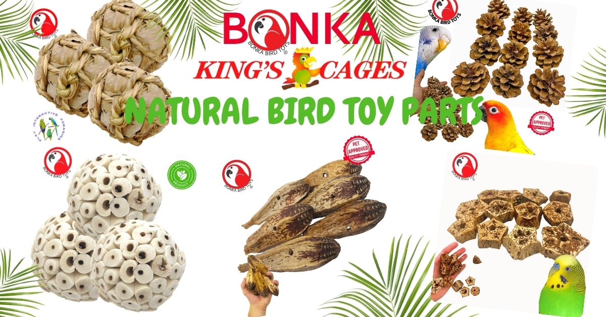Bulk natural bird toy parts featuring various natural materials and components for bird toys.