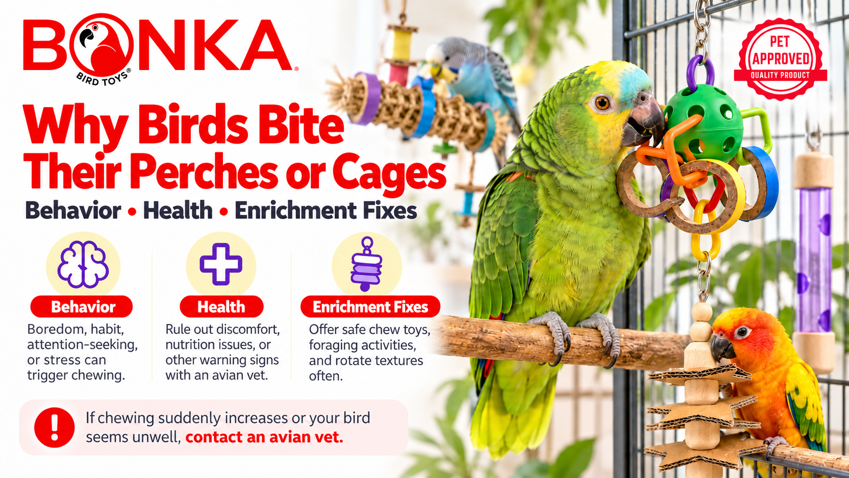 Why Birds Bite Their Perches or Cages: Behavior, Health & Enrichment Fixes