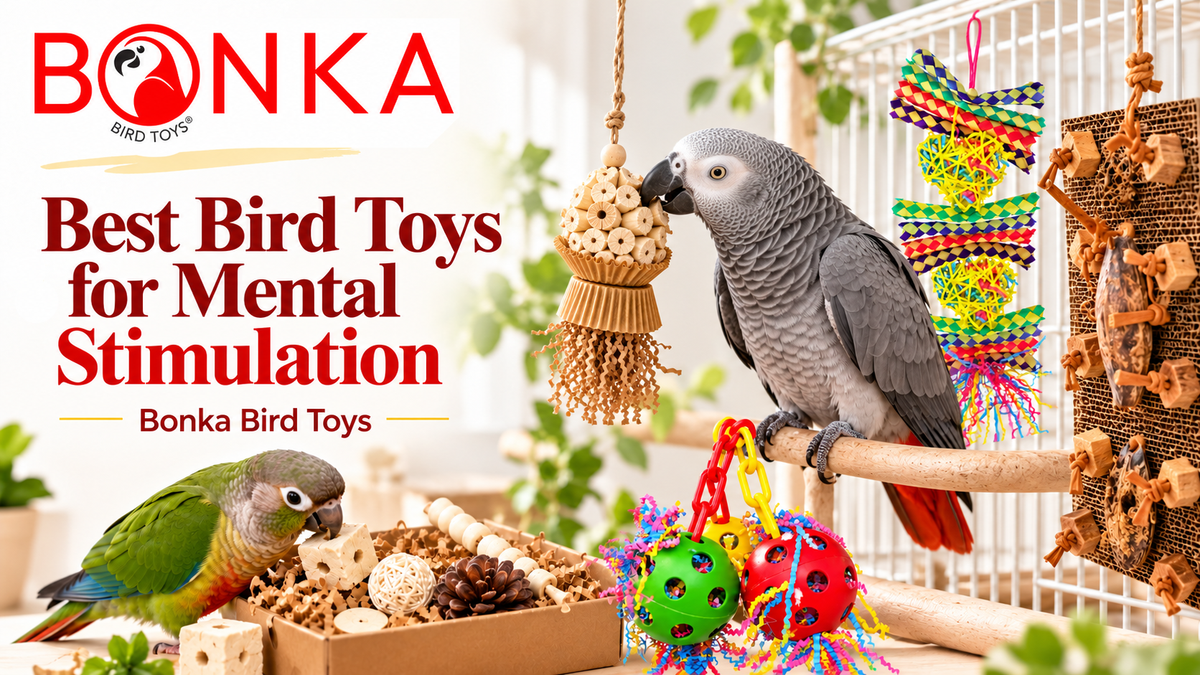 Best Bird Toys for Mental Stimulation | Bonka Bird Toys