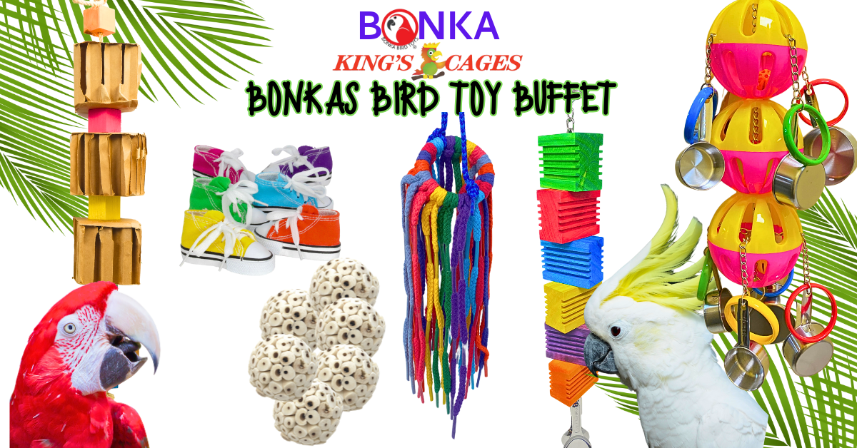 The Trendy Bird Buffet & How BONKA Toys Make It Even Better featuring colorful bird toys and a parrot.