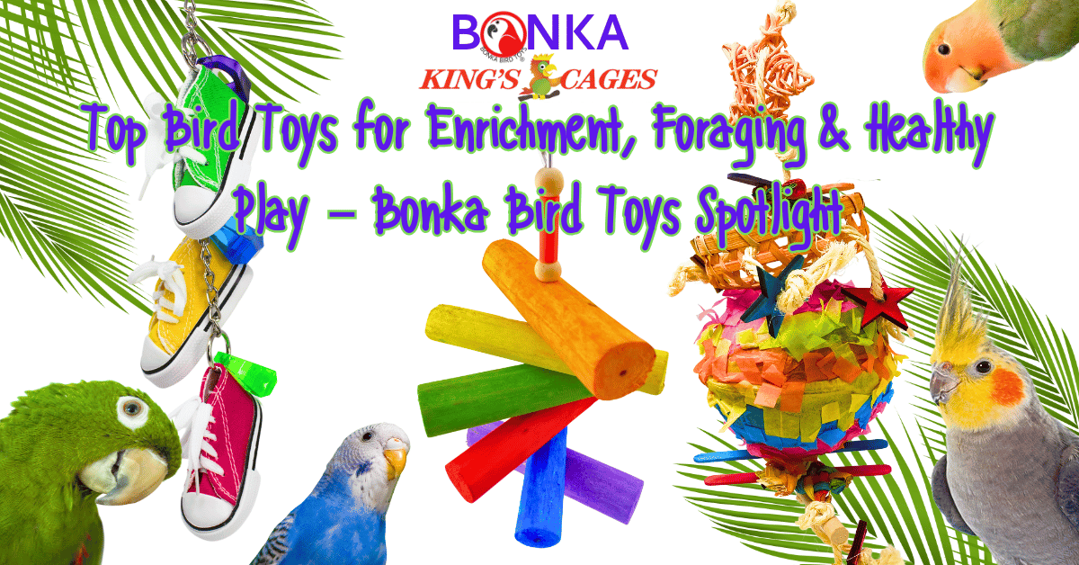 Best Bird Toys for Enrichment & Foraging featured with colorful bird toys and vibrant parrots.