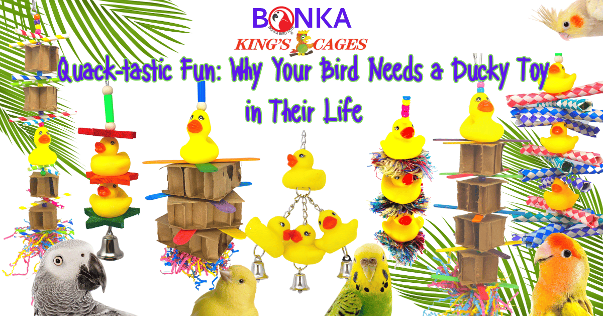 Duck toys for birds provide fun enrichment for parrots