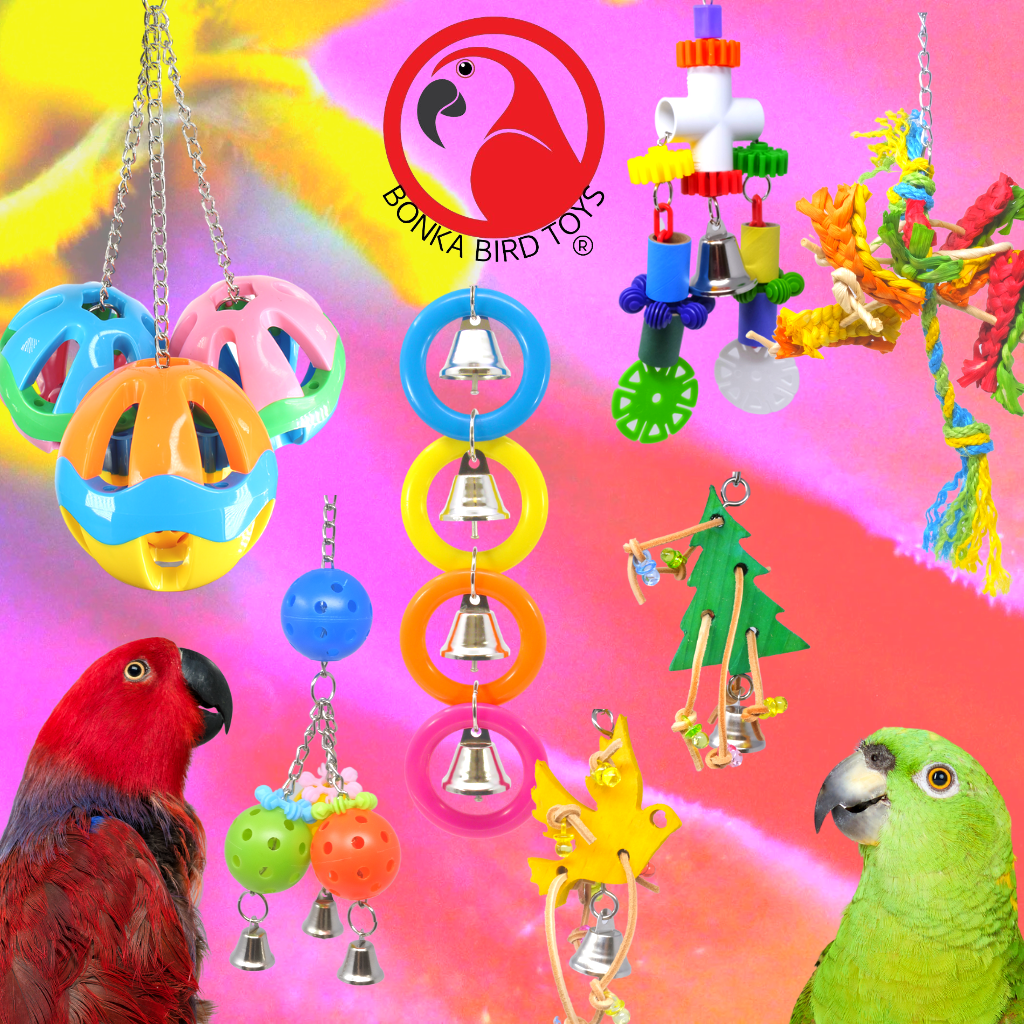 Why You Should Purchase Your Bird's Toys From Bonka Bird Toys.