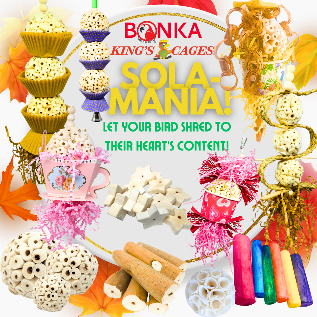 Sola-Mania: The Ultimate Shreddable Fun for Your Bird!