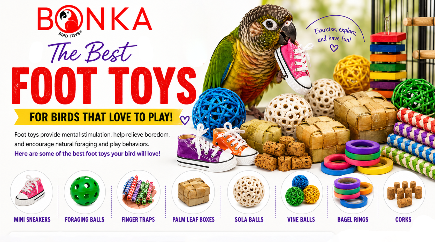 Best Foot Toys for Birds That Love to Play