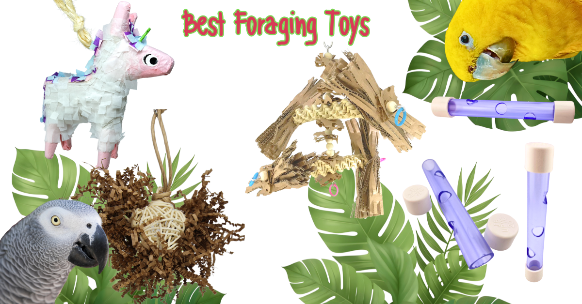 Why Birds Need Foraging Toys displayed with colorful options and tropical leaves.