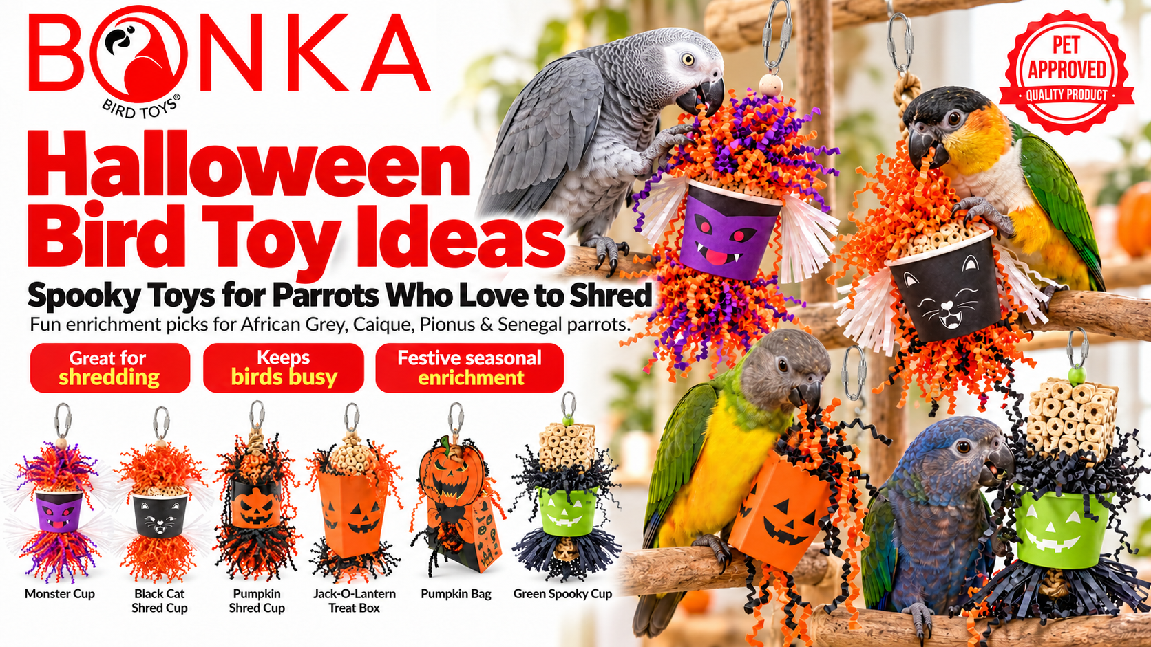 Halloween Bird Toy Ideas: Spooky Toys for Parrots Who Love to Shred