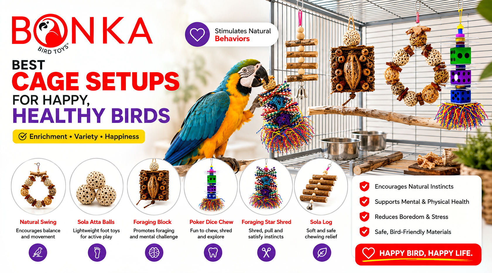 Best Cage Setups for Happy, Healthy Birds