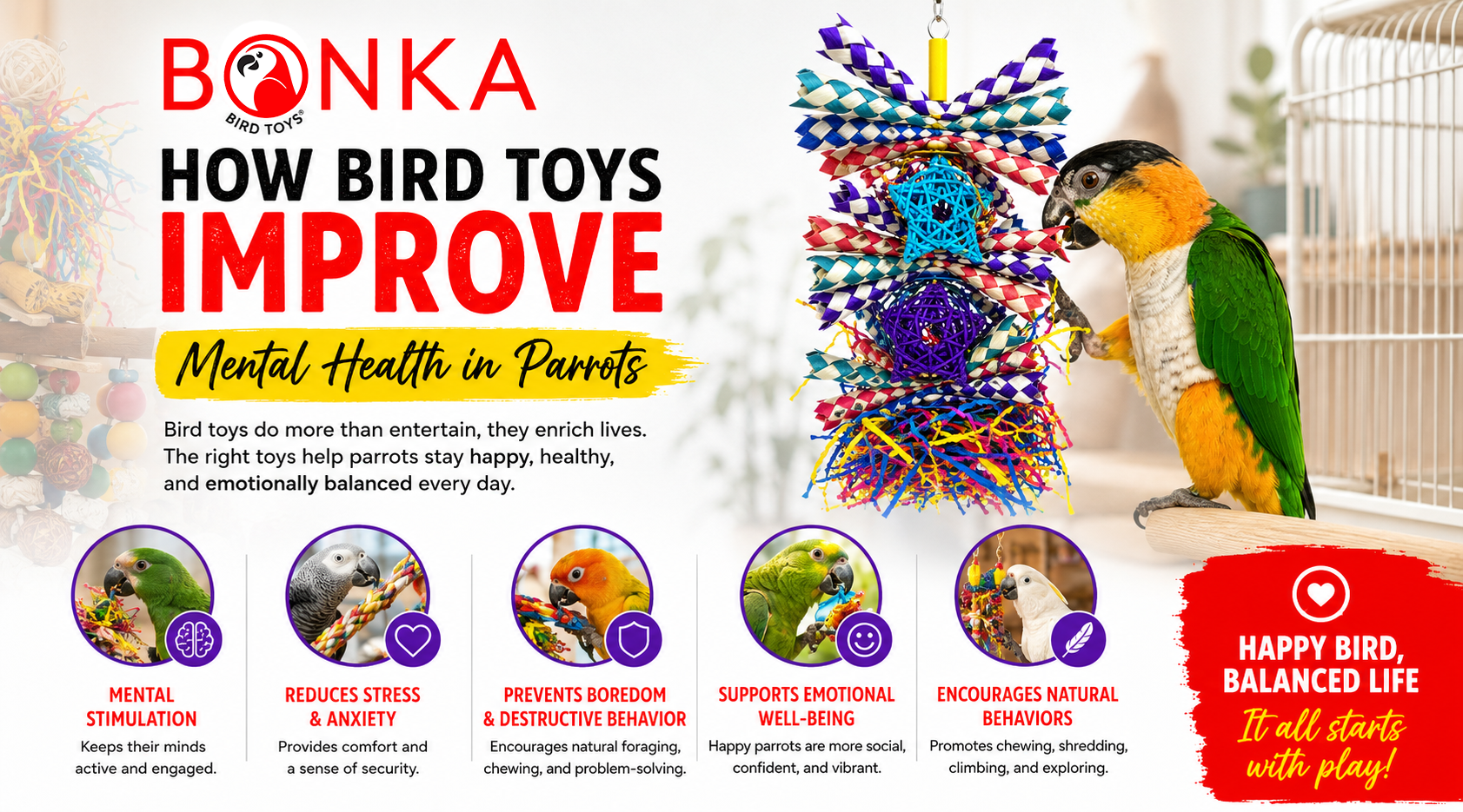 How Bird Toys Improve Mental Health in Parrots with colorful toys and a parrot engaged with play.