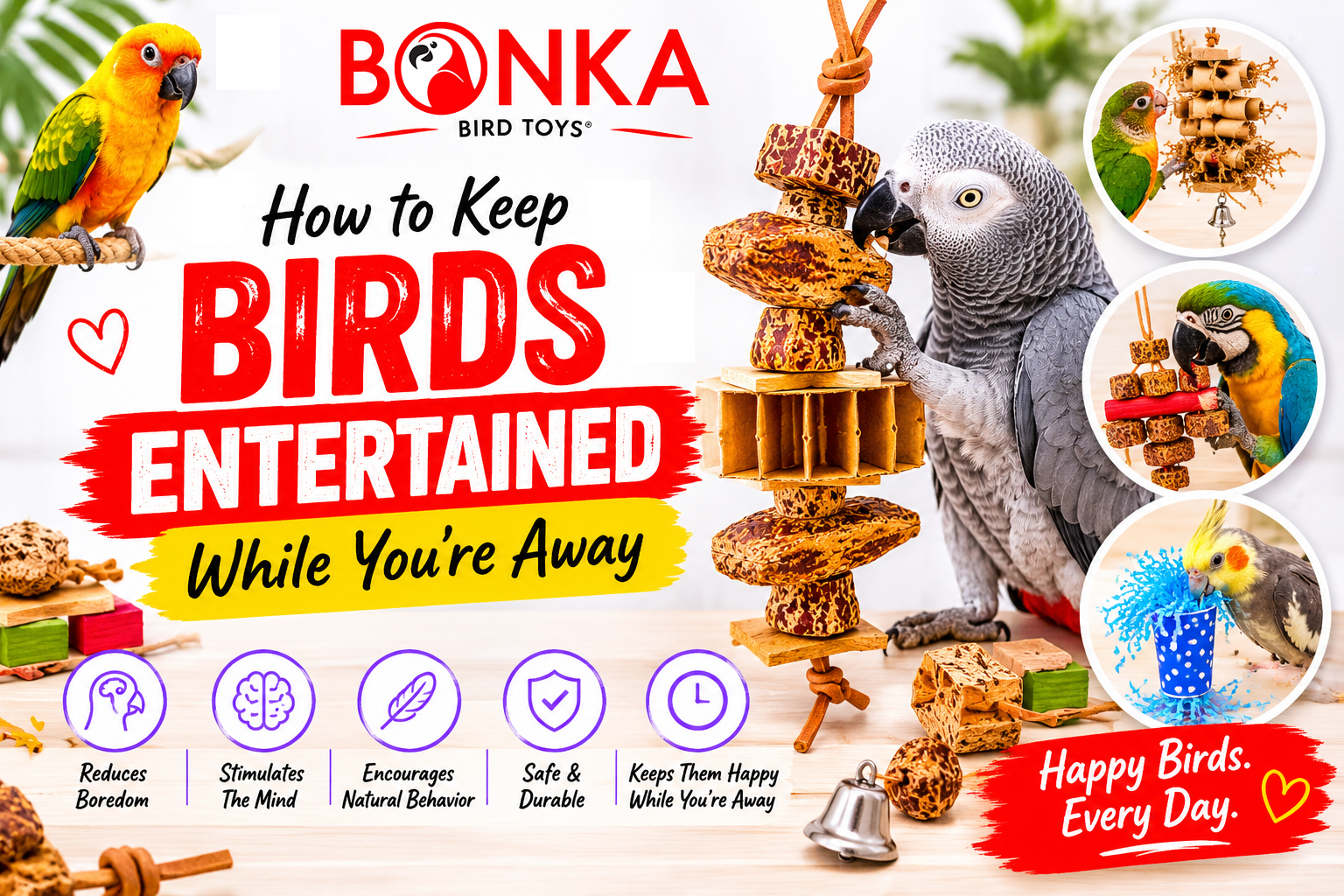 How to Keep Birds Entertained While You’re Away