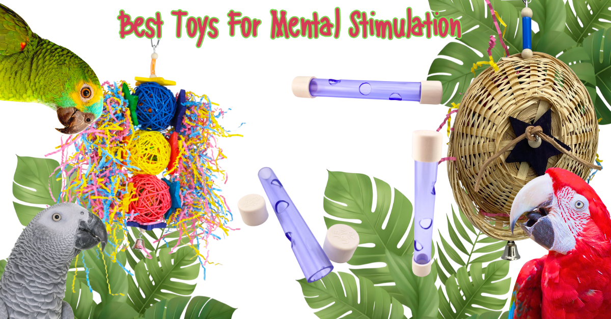 Best Bird Toys for Mental Stimulation and Enrichment with colorful toys and parrots surrounded by greenery.